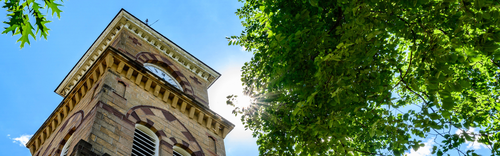 Clock tower and green tree set against bright blue sky, viewed from the ground looking up.